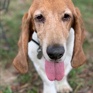 Meet your Posher, James